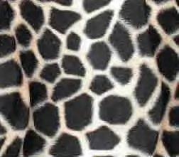 tissus giraffe