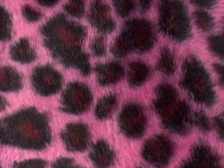 leopard rose1