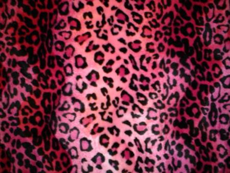 leopard rose2