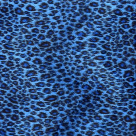 leopard bleu