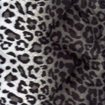 leopard noir blanc gris